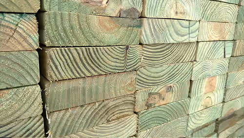 Tanalith-tal kezelt fa metszeti képe