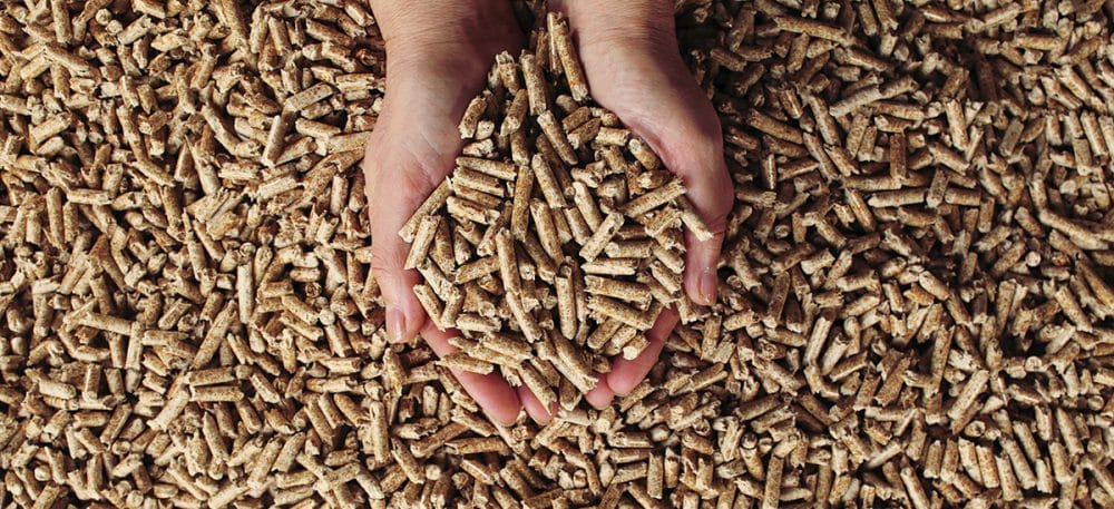 Pellet